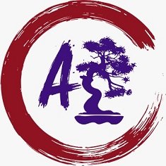 Logo Austria Consultores